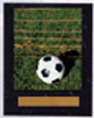 Image Soccer Plaques N Style
