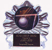 Acrylic Volleyball Awards