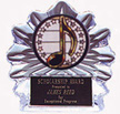 Acrylic Music Trophy Award