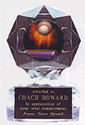 Softball Ice Awards