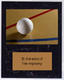 Image Volleyball Plaque V Style