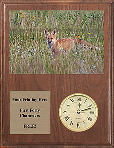 V Series Solid Walnut Fox & Coyote Clock Plaques