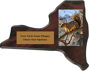 Plaques in shape of the state of New York