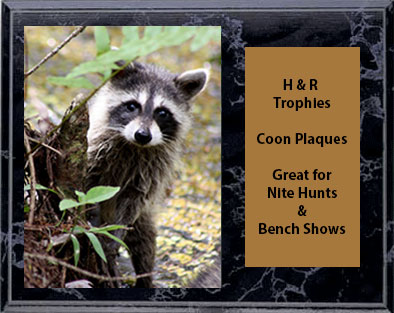  Coon Hunt and Bench Show Plaques