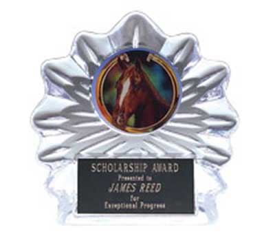 Flame Ice Equestrian Awards available in two size options
