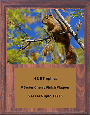 Squirrel Plaques in Your Choice of Cherry, or Black Marble Finish, and Solid Walnut