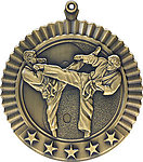 Male Martial Arts Medals 36623 with Neck Ribbons