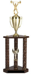 Three Post Bodybuilding Trophies and Lifting Trophies
