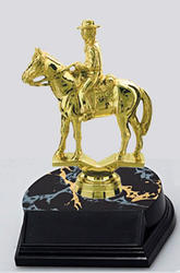 Small Horse Show Trophies and Equestrian Trophies