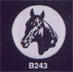 Litho Buttons For Rosettes