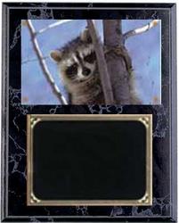 Deluxe Nite Hunt Plaques V Series