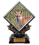 Diamond Star Fox and Coyote Trophies