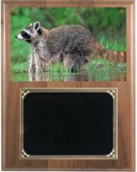 Deluxe Nite Hunt Plaques V Series