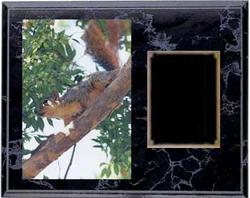 Deluxe Squirrel Hunt Plaques H Series