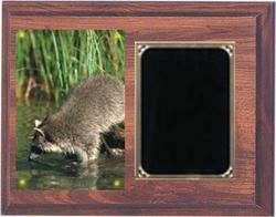 Deluxe Coon Hunt Plaques H Series