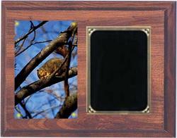 Deluxe Squirrel Hunt Plaques H Series