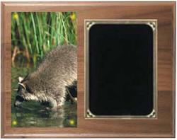 Deluxe Coon Hunt Plaques H Series