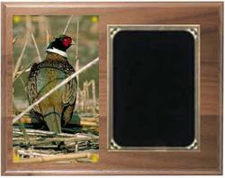 Deluxe Pointer and Retriever Field Trial Plaques H Series