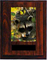 Coon Hunt Plaques N Series
