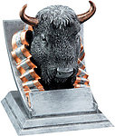Buffalo - Bison Mascot Trophy
