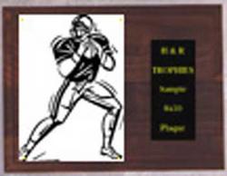 Image Football Plaques H Series