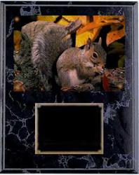Deluxe Squirrel Hunt Plaques V Series