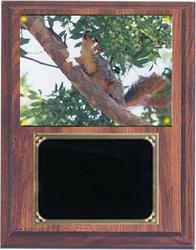 Deluxe Squirrel Hunt Plaques V Series