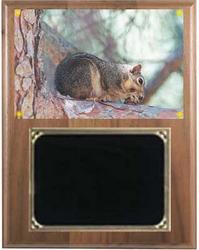 Deluxe Squirrel Hunt Plaques V Series