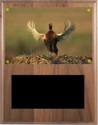 Pointer and Retiever Field Trial Plaques V Series