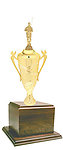 Fisherman Cup Trophies GW 2800 Series
