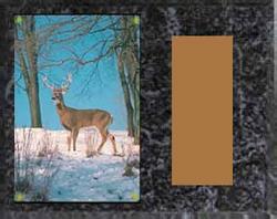 Image Archery Plaque H Series