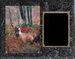 Deluxe Image Archery Plaque
