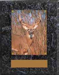 Wildlife Image Archery Plaque N Series