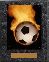 Image Soccer Plaque N Style