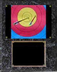 Deluxe Target Image Archery Plaque