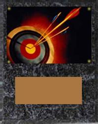 Target Image Archery Plaque V Series