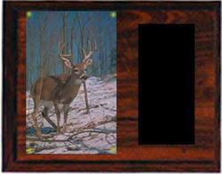Image Archery Plaque H Series