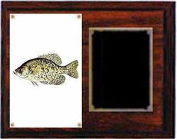 Deluxe Cherry Finish Image Fishing Plaque H Series