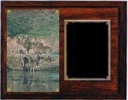 Deluxe Image Archery Plaque