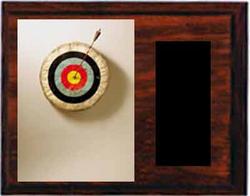Image Target Archery Plaques H Series