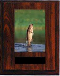 N Series Cherry Finish Image Fishing Plaque