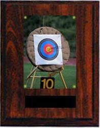 Image Target Archery Plaques N Series