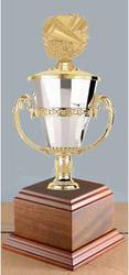 Cheerleader Cup Trophies