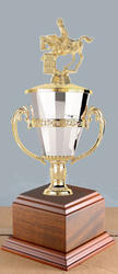Cup Horse Show Trophies and Equestrian Trophies