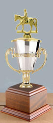 Cup Horse Show Trophies and Equestrian Trophies