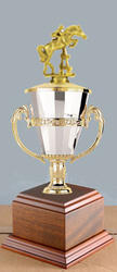 Cup Horse Show Trophies and Equestrian Trophies