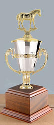 Cup Horse Show Trophies and Equestrian Trophies