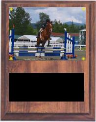 Equestrian Plaque CF