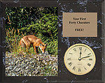 Fox & Coyote Field Trial Clock Plaques H Series Black Marble Finish