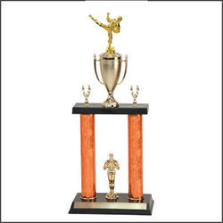 DPC Martial Arts Trophies with Double Post